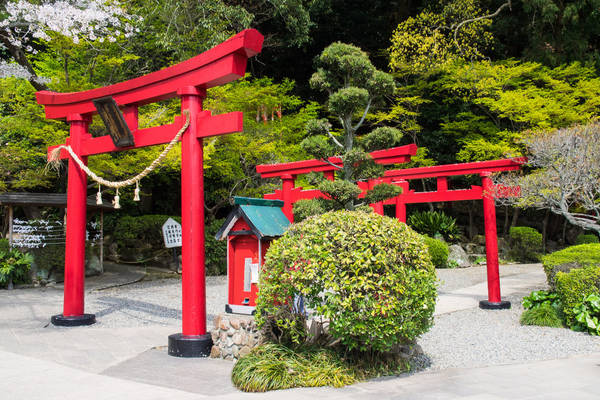 Đường dẫn vào suối nước nóng Umi Jigoku. Ảnh: Rita Willaert