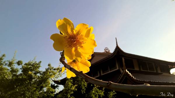 Với không gian tu hành hòa quyện thiên nhiên hùng vĩ, mọi du khách hành hương vãn cảnh thấy tâm hồn tịnh tâm, thanh thản. Ảnh: Tiểu Duy