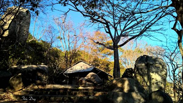 Chùa trước đây là một am nhỏ do bà Tư trông nom. Năm 1987, Đại đức Thích Thông Luận về sửa chữa ngôi chùa và tu hành ở đây. Sau này, Giáo hội Phật Giáo Việt Nam đặt tên cho ngôi chùa này là Thiền viện Trúc Lâm Chân Nguyên. Ảnh: Tiểu Duy