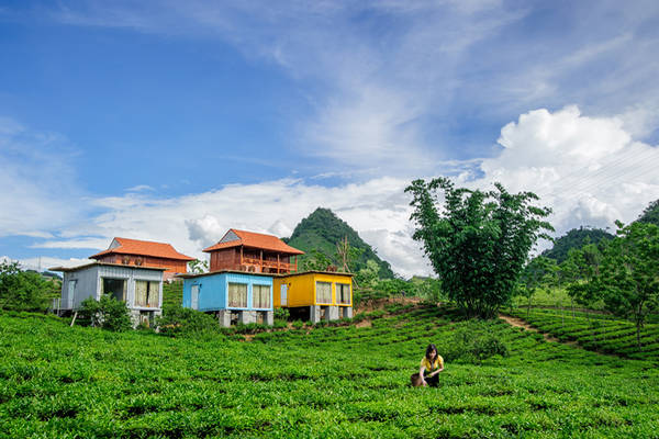 Mộc Châu Arena Village tọa lạc trên một triền đồi nhỏ xinh. Ảnh: mocchauarena.com