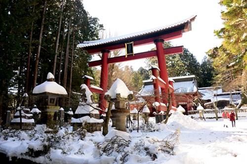 Cổng Torii ở đền Fuji Sengen Jinja là cổng Torii bằng gỗ lớn nhất Nhật Bản (cao 18m)