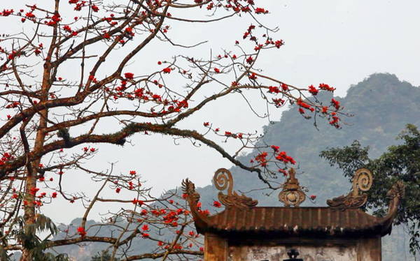 Chùa Hương là một trong những địa điểm tâm linh nổi tiếng tại Việt Nam. Hãy cùng đến tham quan và khám phá những kiến trúc tuyệt vời cùng lịch sử phong phú của ngôi chùa này trong bức ảnh liên quan.