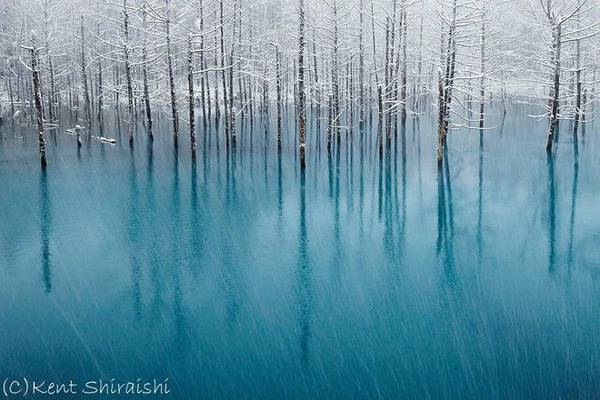 Ao xanh ở Hokkaido: Hokkaido là hòn đảo lớn thứ hai của Nhật Bản. Nằm ở rất xa về phía Bắc, đây là một vùng hoang dã rộng lớn nhưng chỉ có một phần ba dân số. Blue Pond (Aoiike) được đặt tên như vậy vì những khoáng chất tự nhiên biến nước ao mang một xanh tuyệt đẹp. 