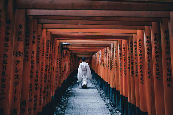 Điện thờ Fushimi Inari: Đây là một trong những ngôi đền đẹp và nổi tiếng nhất ở Kyoto nhưng nó lại thu hút du khách bởi con đường mòn dẫn vào ngôi đèn được tạo bằng nhiều khung cổng được sơn son, tạo nên cảnh tượng ấn tượng cho những ai đam mê chụp ảnh.