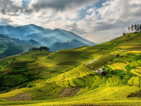 Sa Pa: Với những ruộng lúa bậc thang óng ả, khí hậu mát mẻ và nền văn hóa đặc sắc, Sa Pa là một trong những điểm đến hút khách ở Việt Nam.