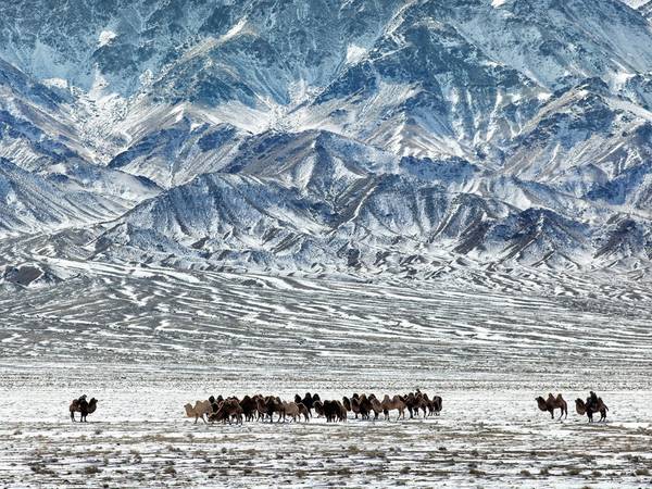 Sa mạc Gobi, Mông Cổ: Những vùng cát mênh mông bất tận cạnh các dãy núi hùng vĩ tạo ra khung cảnh ngoạn mục, kỳ vĩ cho sa mạc Gobi.