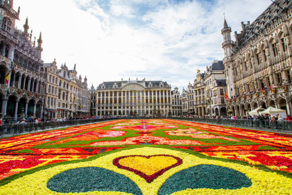 Thảm hoa tại lễ hội hoa ở Brussels năm 2014 - Ảnh:flickr