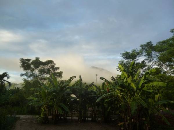 Sương núi mù mù che trên đỉnh núi Cà Tang sáng sớm - Ảnh: N.T.Giang