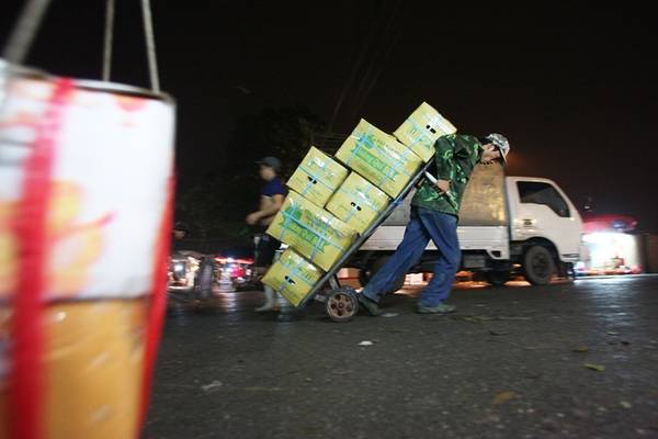 Hàng ngày có hàng nghìn lượt xe thô sơ, xe trọng tải nhỏ chuyên chở hoa quả đi các nơi trong thành phố Hà Nội và một số tỉnh lân cận.