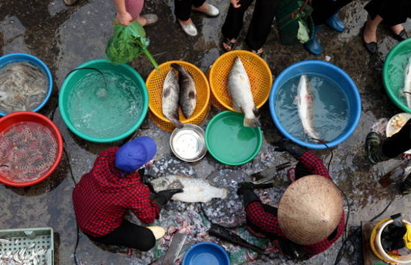 Đủ loại hải sản hấp dẫn người dân địa phương lẫn du khách - Ảnh: Thủy Trần