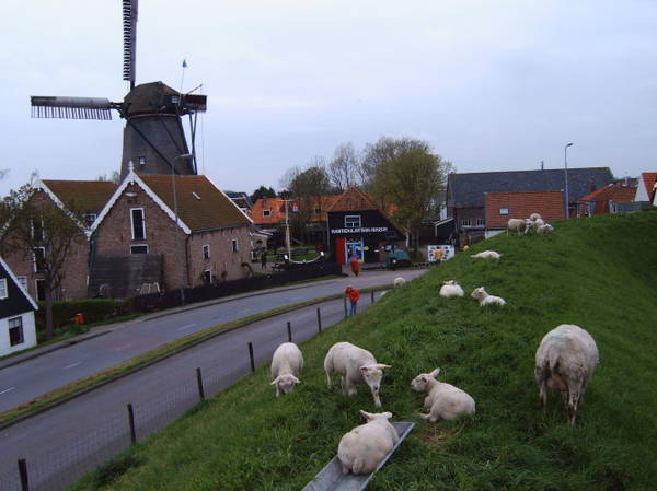 Khu vực Bảo tàng Hàng hải Oudeschild - Ảnh: panoramio