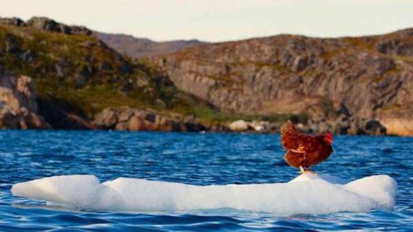 "Tôi biết ngay nó chính là bạn đồng hành của mình", Guirec nói với BBC từ Greenland, một quốc gia tự trị thuộc Đan Mạch, nơi anh đang dừng chân. "Khi đó Monique mới khoảng 4 hay 5 tháng tuổi, và chưa bao giờ rời khỏi đảo Canary. Tôi không biết nói tiếng Tây Ban Nha và nó cũng không nói được tiếng Pháp, nhưng chúng tôi vẫn đi cùng nhau". "Tôi biết ngay nó chính là bạn đồng hành của mình", Guirec nói với BBC từ Greenland, một quốc gia tự trị thuộc Đan Mạch, nơi anh đang dừng chân. "Khi đó Monique mới khoảng 4 hay 5 tháng tuổi, và chưa bao giờ rời khỏi đảo Canary. Tôi không biết nói tiếng Tây Ban Nha và nó cũng không nói được tiếng Pháp, nhưng chúng tôi vẫn đi cùng nhau".
