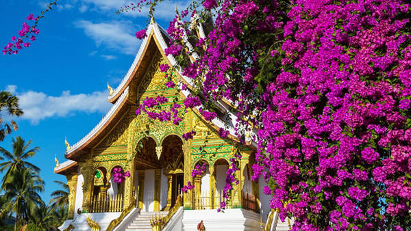 Luang Pra Bang với những ngôi chùa cổ kính - Ảnh: Internet