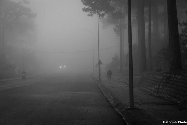 Đường Trần Hưng Đạo dẫn tới làng hoa Thái Phiên chỉ lác đác vài người dậy tập thể dục. Sương mù giăng khắp nơi. Tầm nhìn bây giờ chỉ còn vài chục mét.