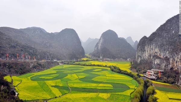 Những cánh đồng hoa cải tuyệt đẹp nằm lọt giữa những ngọn núi đá vôi gần thành phố An Thuận. 