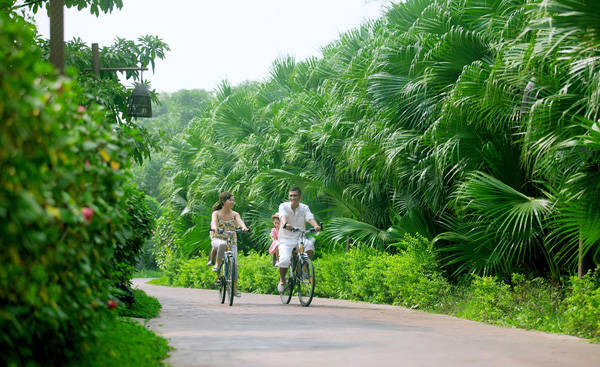 Thuê chiếc xe đạp là bạn có thể thong dong đi dạo khắp quanh khu resort.
