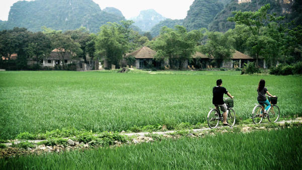 Đạp xe trên con đường đất được bao quanh bởi cánh đồng lúa thơm mát, tận hưởng một cuộc sống đơn giản nhưng thật bình yên.