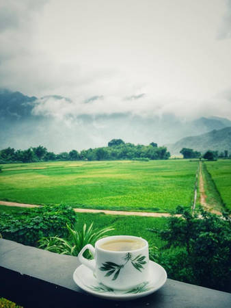 View rất đẹp từ một căn phòng trong khu nghỉ dưỡng. Bạn có thể thảnh thơi uống trà, ngắm cảnh trong một không gian yên bình, thư thái. Ảnh: @fb võ như ái