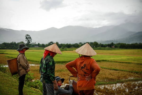 Những người nông dân huyện Lắk nghỉ ngơi sau trận mưa - Ảnh: TIẾN THÀNH