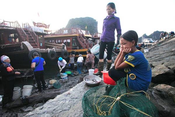 Nguyễn Thị Trà, 12 tuổi (Hà Nam) đang trong thời gian nghỉ hè nên theo mẹ tới Vân Đồn, Quảng Ninh để buôn hải sản.