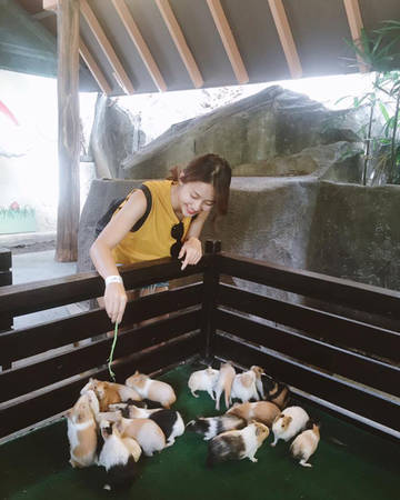 Sunway Lagoon là công viên giải trí hấp dẫn ở Petaling Jaya, Malaysia, chính thức mở cửa vào tháng 4 năm 1993. Đến với Sunway Lagoon, khách du lịch sẽ được thám hiểm thế giới hoang dã Châu Phi với Congo Challenge, Cameroon Climb, African Pythons… hay thử cảm giác đứng trên cây cầu bộ cao nhất thế giới và ngắm nhìn toàn cảnh công viên. Sunway Lagoon là công viên giải trí hấp dẫn ở Petaling Jaya, Malaysia, chính thức mở cửa vào tháng 4 năm 1993. Đến với Sunway Lagoon, khách du lịch sẽ được thám hiểm thế giới hoang dã Châu Phi với Congo Challenge, Cameroon Climb, African Pythons… hay thử cảm giác đứng trên cây cầu bộ cao nhất thế giới và ngắm nhìn toàn cảnh công viên.