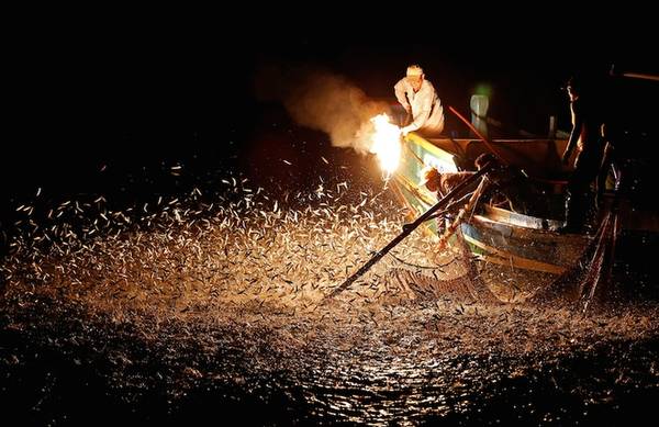 Mùa đánh cá bằng lửa chỉ diễn ra trong 3 tháng tại cảng Jinshan, Đài Bắc. Những con thuyền ra biển giữa đêm, sử dụng thanh tre phủ đất tẩm sulfuric để đốt lửa.