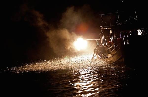 Một buổi 6 tiếng trên biển đem lại sản lượng 3-4 tấn cá mòi mỗi thuyền, thậm chí Đài Loan còn trợ cấp cho hoạt động này nhờ thân thiện với môi trường. Trung bình mỗi nhóm ngư dân có thể kiếm đến 4.500 USD một đêm. Tuy nhiên truyền thống này đang dần bị mai một theo thời gian.