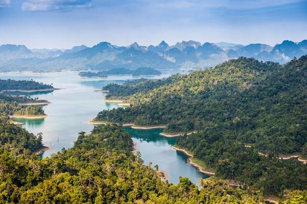 . Công viên quốc gia Khao Sok (Surat Thani, Thái Lan): Công viên quốc gia Khao Sok là một phần cảnh quan thiên nhiên rất quý giá của Thái Lan, vì được cho là một trong những khu rừng mưa nhiệt đới lâu đời nhất trên thế giới. 
