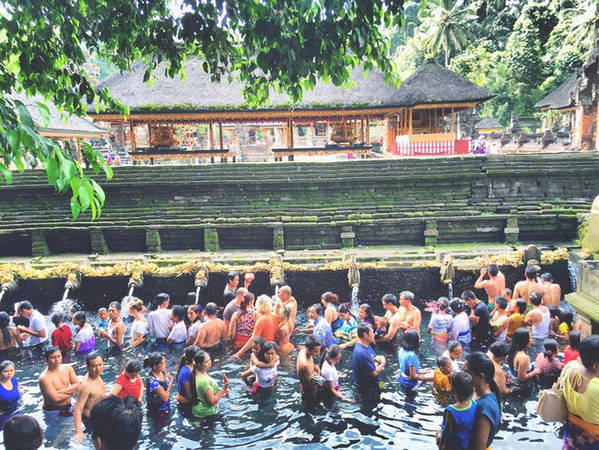 Mọi người đang tắm ở đền Tirta Empu, ngôi đền có dòng nước thần trong vắt, có cả cá bơi tung tăng, giúp bạn gột rửa những linh hồn xấu và cầu phước lành.