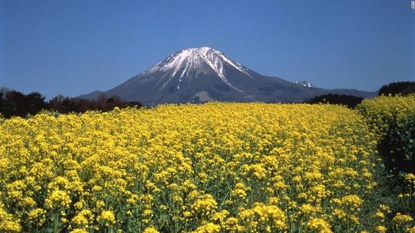 Núi Dalsen được mệnh danh là "núi Phú Sĩ thứ hai" của Nhật Bản vì phong cảnh khá giống nhau. Đây là đỉnh núi cao nhất của vùng Chugoku phía tây đảo Honshu, với độ cao là 1.709 m.
