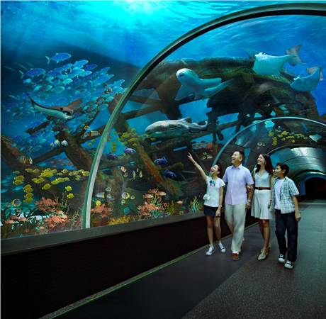 S.E.A. Aquarium Singapore-ivivu-1