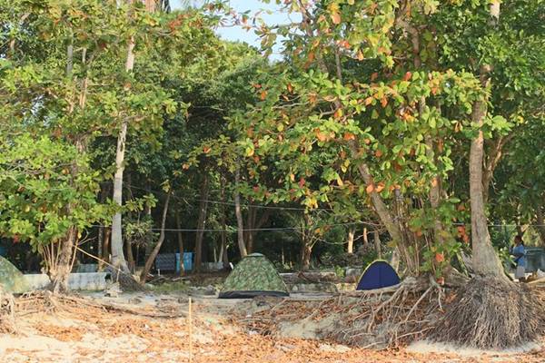 Tại bãi biển Sunset, bạn cũng có thể thuê lều cắm trại. 