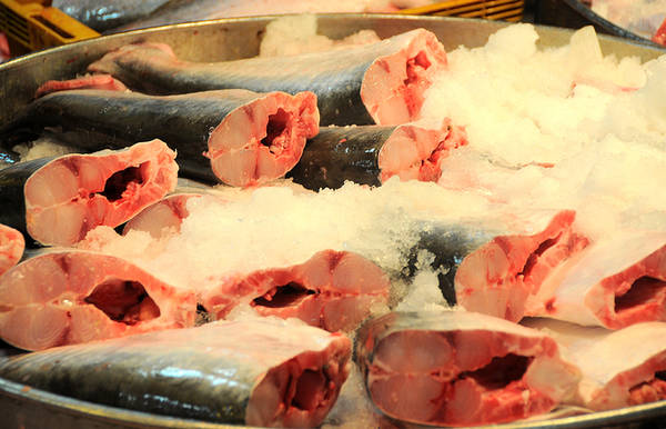 Cá dứa và cá basa là hai mặt hàng chủ lực tại chợ. Ở đây, khách có thể được bán lẻ khi mua cả con với giá rẻ đến bất ngờ.