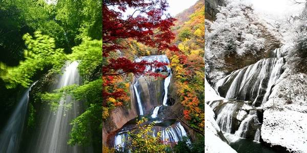Ngoài công viên Hitachi, tỉnh Ibaraki còn rất nhiều điểm đến nổi tiếng và tuyệt đẹp khác. Một trong số đó là thác Fukuroda, được mệnh danh đẹp thứ 3 tại Nhật Bản. Thác cao 120 m, rộng 75 m, chia thành 4 tầng. Vào mỗi mùa, thác lại có vẻ đẹp khác nhau. Đặc biệt vào mùa đông, thác nước đóng băng, nơi này trở thành điểm đến của những người thích mạo hiểm với môn thể thao leo thác băng.
