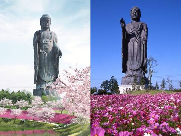 Tượng Phật Ushiku là bức tượng đồng lớn nhất thế giới, đặt tại tỉnh Ibaraki. Tượng cao 120 m, xung quanh trồng rất anh đào và hoa nở theo mùa. Trong tượng có 5 tầng, đặt hàng nghìn bức tượng Phật có kích thước khác nhau. Đặc biệt du khách có thể nhìn ra quang cảnh phía bên ngoài từ tầng 5 của bức tượng.