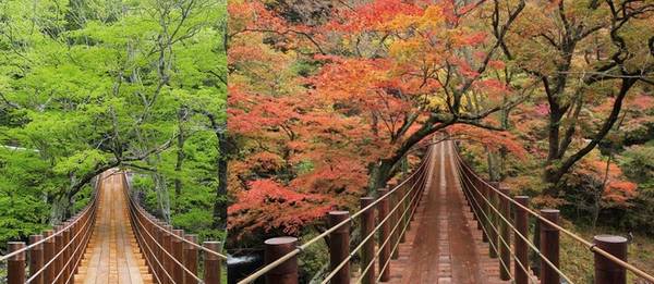 Thung lũng Hananuki là nơi ngắm lá phong lý tưởng. Cảnh sắc nơi này biến đổi theo mùa khiến du khách có dịp quay lại vào thời điểm khác trong năm không khỏi ngỡ ngàng.