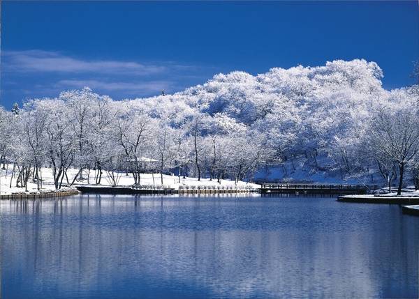 Mùa đông, cây cối ở Ibaraki trở nên trơ trụi nhưng những bông tuyết trắng đã tạo nên nét quyến rũ riêng cho vùng đất thiên nhiên hùng vĩ này.