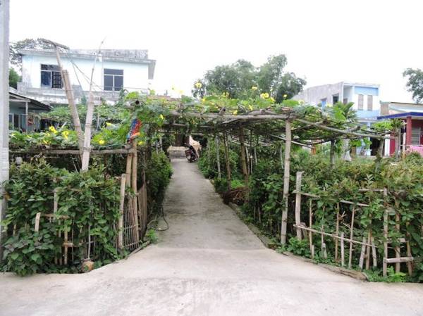 Rau mơ góp phần tạo nên vẻ đẹp bình dị cho làng cổ Phong Nam - Ảnh: THANH LY