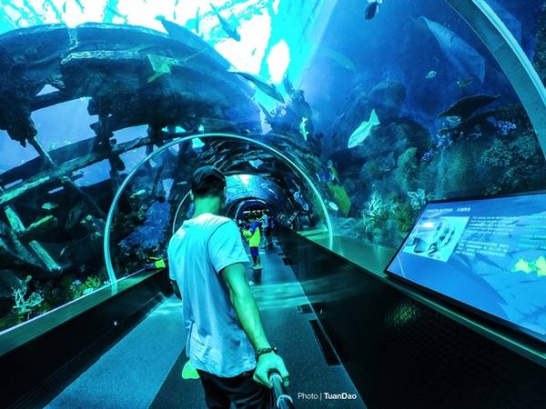 Thủy cung S.E.A Aquarium - Thủy cung lớn nhất thế giới trên đảo Sentosa, nơi trưng bày hơn 100.000 sinh vật biển thuộc 800 loài và hơn 20.000 loại san hô với sức chứa lên tới 45 triệu lít nước.