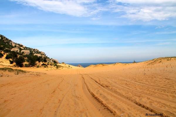 Đường cát sa mạc chừng 1 km, nóng bỏng dưới tiết trời nắng như đổ lửa để đến Mũi Dinh không làm chùn bước du khách, bởi trước mắt bạn luôn mở ra những đường chân trời xanh ngắt, bãi Tràng sạch đẹp, những hòn núi đá nhấp nhô đủ mọi hình dáng. Tiểu sa mạc là một trong những bối cảnh chính của bộ phim “Dấu chân du mục”. Bạn có thể dạo trên cát, trải nghiệm xe địa hình ở khu du lịch Tanyoli tùy thích. 