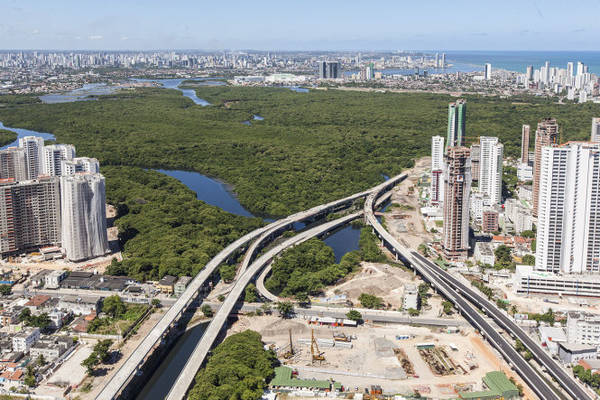 Công viên rừng ngập mặn, một dạng rừng ngập mặn trong đô thị lớn nhất châu Mỹ ở phía nam thành phố Recife - Ảnh: wiki