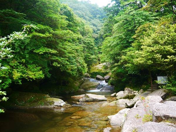 1. Yakushima: Hòn đảo này là điểm du lịch thiên nhiên nổi tiếng nhất ở Nhật Bản, thu hút rất đông du khách đến tham quan mỗi năm. Ảnh: Chentaiji.