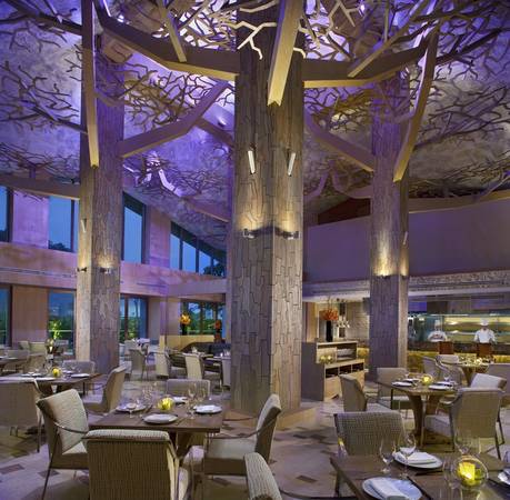 Không gian nhà hàng được thiết kế theo phong cách rừng cây