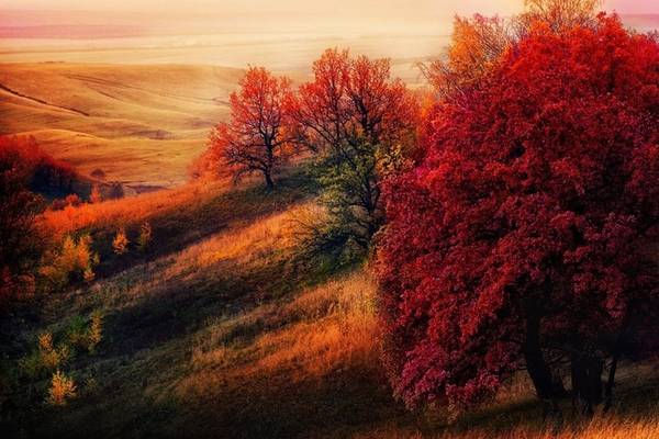 Bức ảnh chụp tại Tatarstan, Nga đẹp ngỡ như tranh với màu đỏ, cam, vàng đẹp như trải thảm.