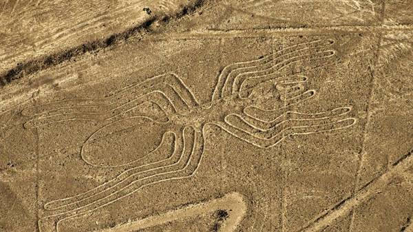 Con nhện, một trong những hình vẽ nổi tiếng nhất Nazca, dài 46m - Ảnh: lexpress.fr