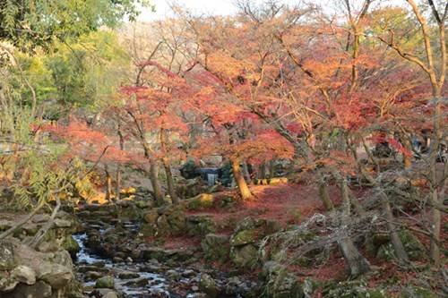 Những cung đường núi mùa Thu là hành trình chinh phục hấp dẫn để ngoạn cảnh mùa lá đỏ