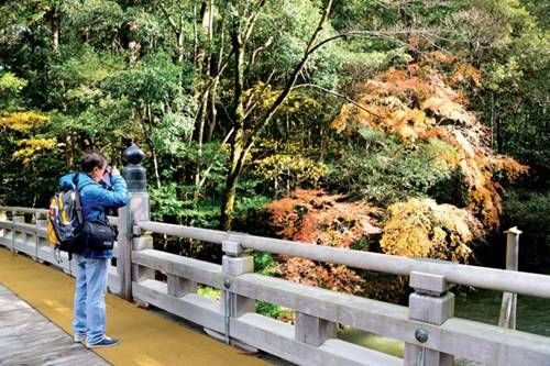 Vẻ đẹp từ những gam màu thiên nhiên của mùa Momiji đem lại những cảm xúc riêng cho lữ khách