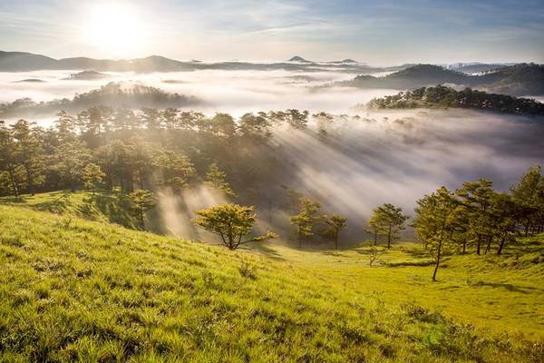 Người dân Đà Lạt dậy rất sớm. Lúc 4h, bạn có thể bắt gặp được những người đã xuống đường tập thể dục, chở hàng hóa, chở hoa để chuẩn bị cho công việc ngày mới. Người dân Đà Lạt dậy rất sớm. Lúc 4h, bạn có thể bắt gặp được những người đã xuống đường tập thể dục, chở hàng hóa, chở hoa để chuẩn bị cho công việc ngày mới.