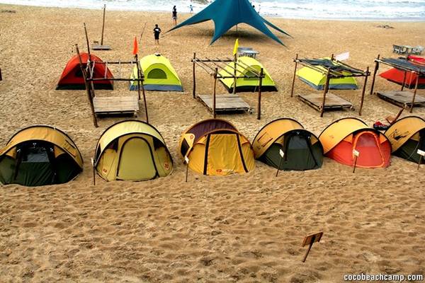 Lagi: Thiên đường biển mới của Bình Thuận hoang sơ và thơ mộng với biển, với núi, với vườn thanh long chín đỏ rực, bến cá tấp nập vào mỗi buổi sáng khi tàu đánh cá cập bến. Ảnh: cocobeachcamp.