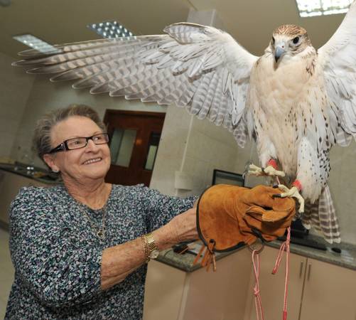 Bệnh viện chim ưng Abu Dhabi: Huấn luyện chim ưng đã phổ biến ở Emirate từ 2.000 năm trước. Do đó, không có gì lạ khi Abu Dhabi có bệnh viện chim ưng lớn và hiện đại nhất thế giới. Mỗi ngày có 2 tour tham quan được tổ chức tại đây. Bạn sẽ có cơ hội ngắm nhìn những con chim ưng bay lượn, tham quan bảo tàng và tiếp xúc với chúng ở vườn của bệnh viện.